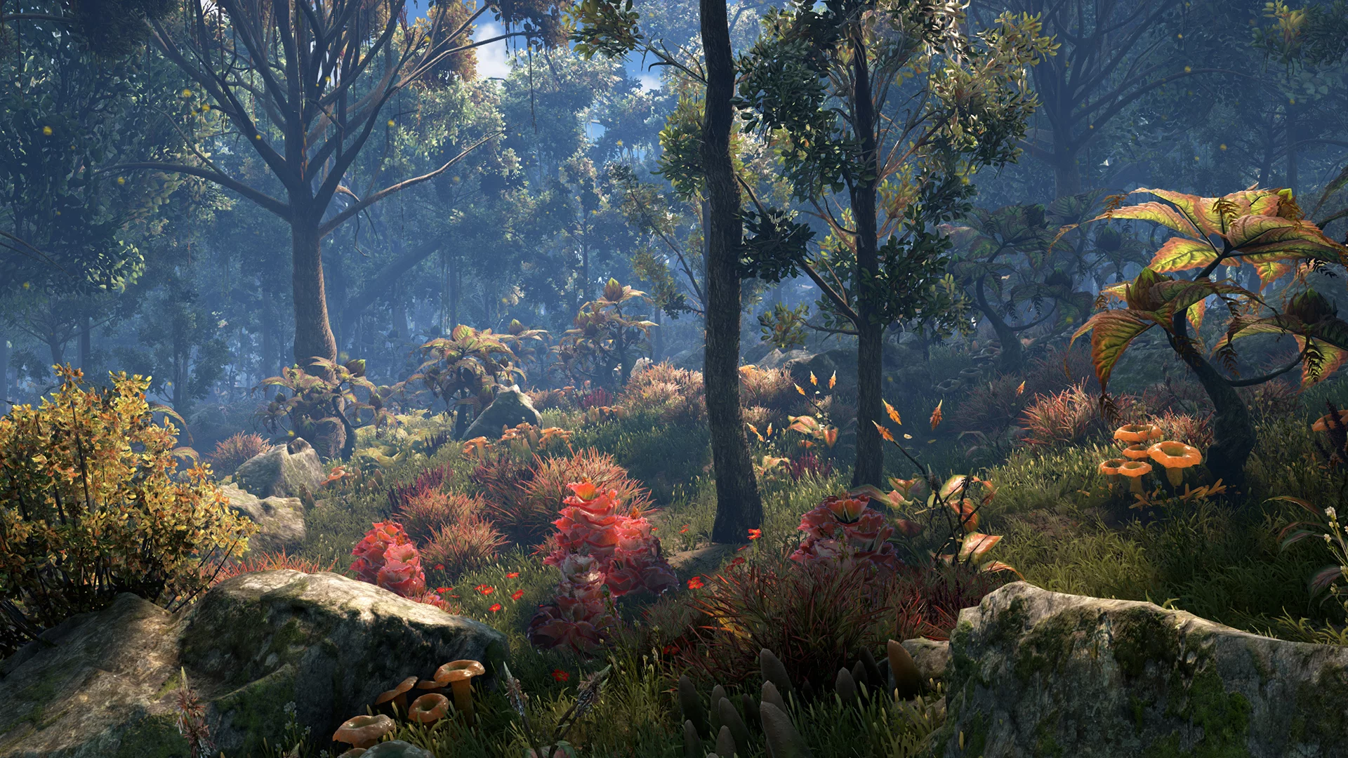 Изображение игры: Dark and Light