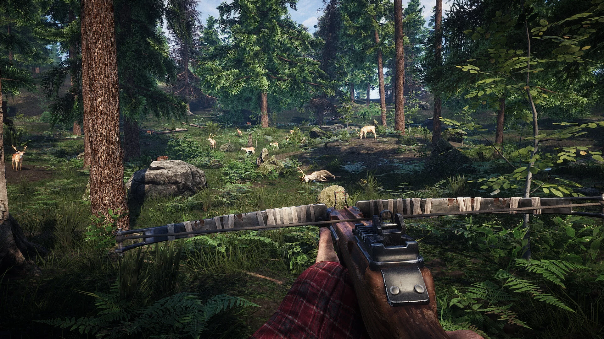 Изображение игры: Survive the Nights