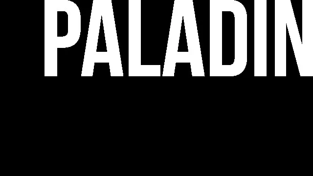 Изображение игры: Paladin