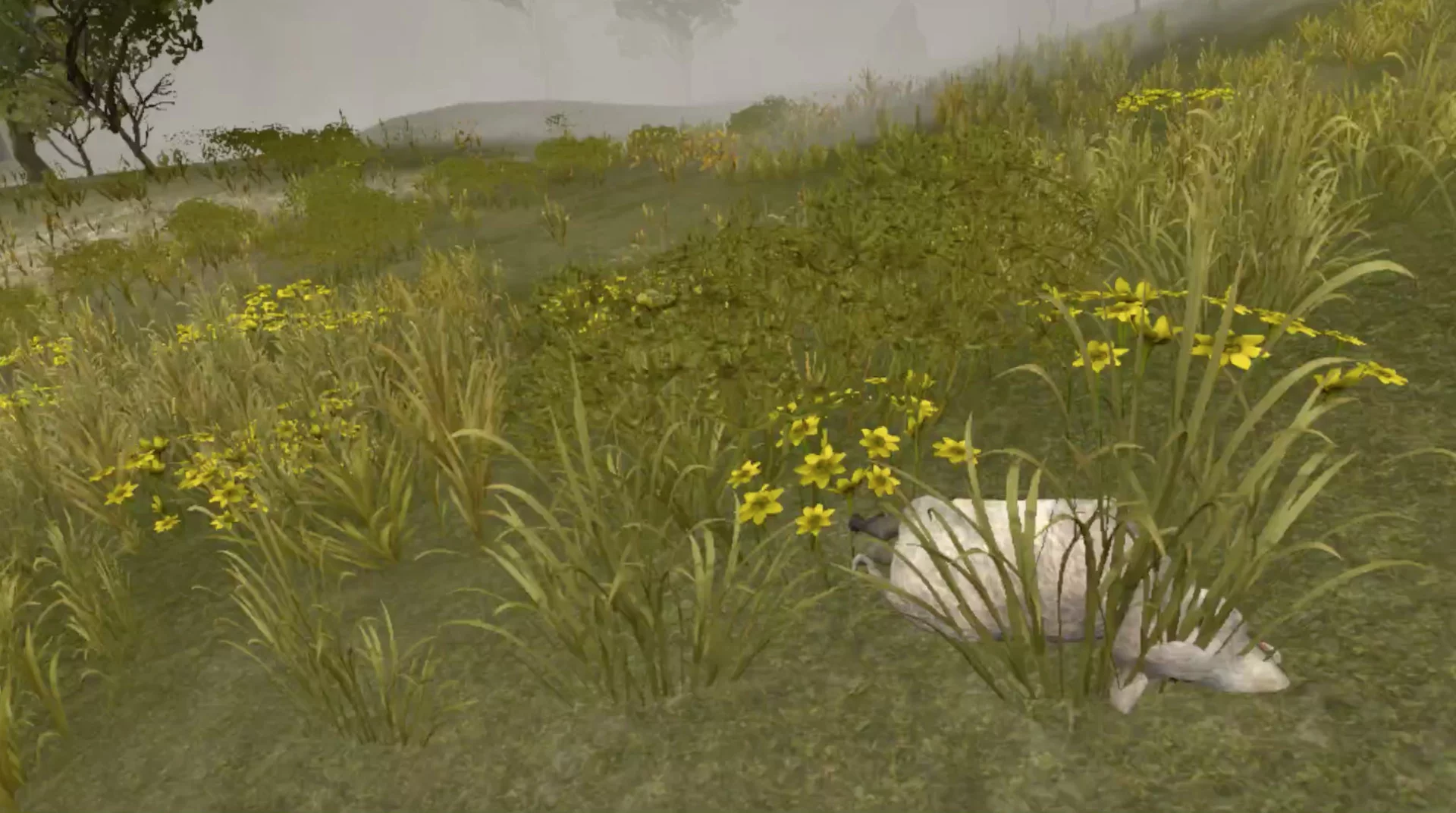 Изображение игры: Wild Game Hunter VR