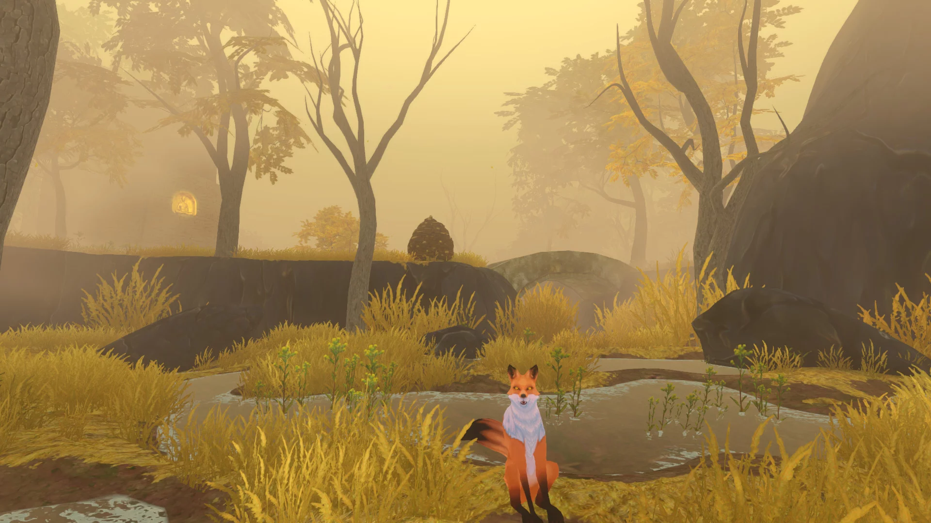 Изображение игры: The Wild Eternal