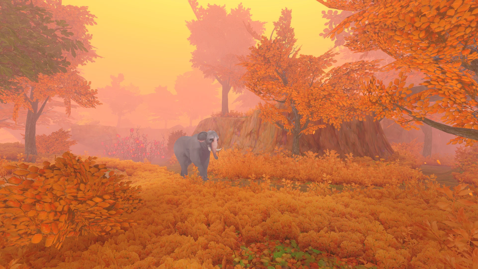 Изображение игры: The Wild Eternal