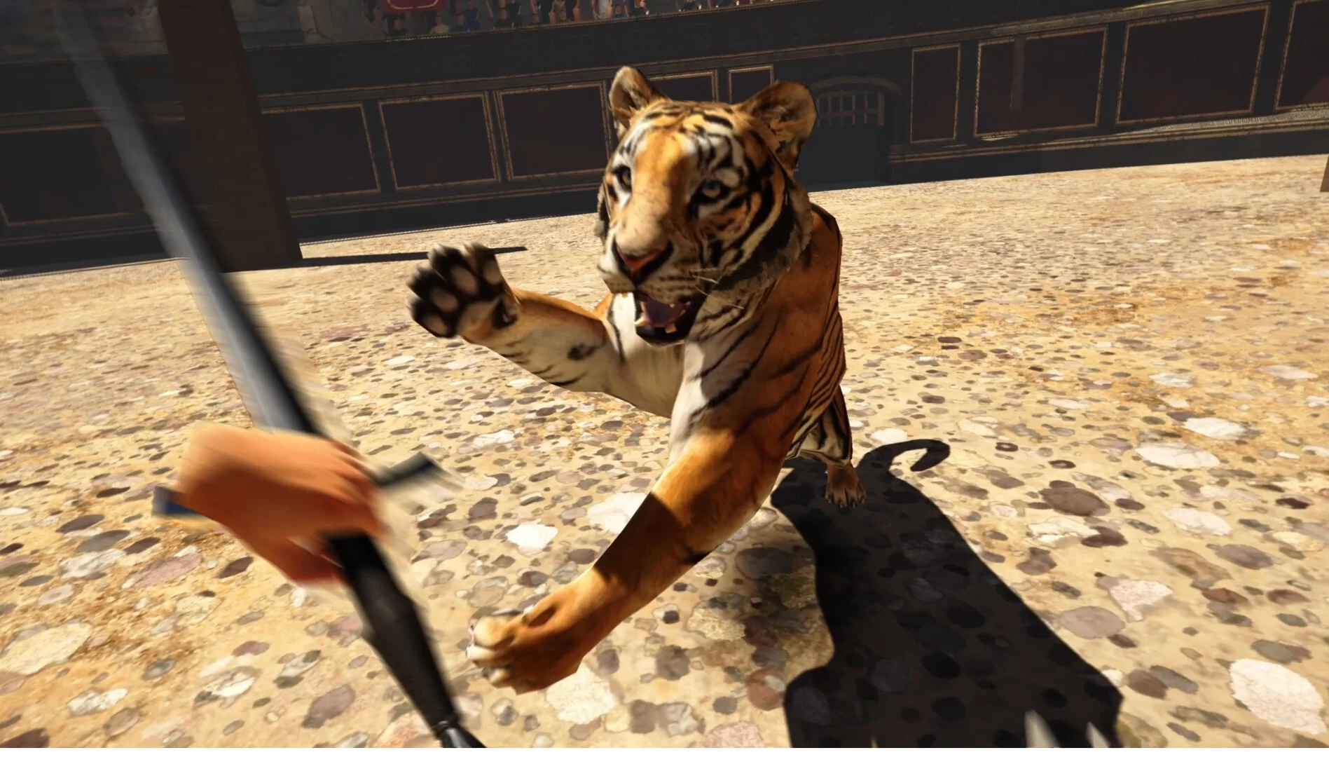 Изображение игры: Gladius | Gladiator VR Sword fighting
