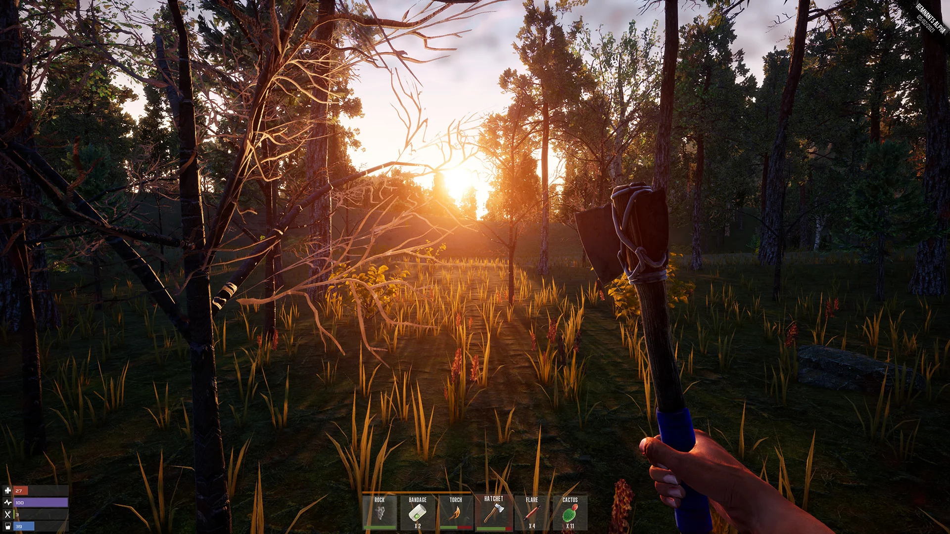 Изображение игры: Rem Survival