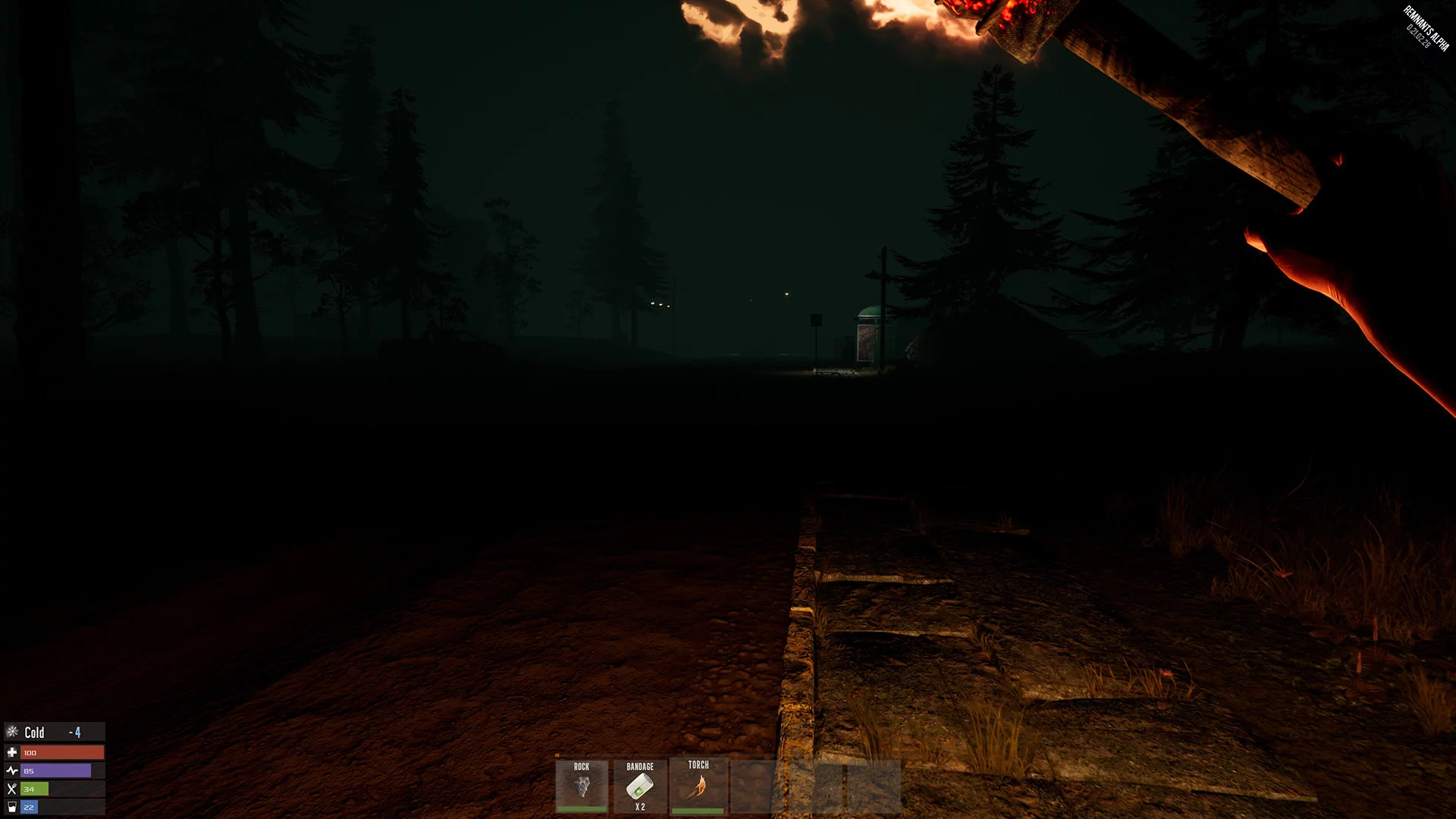 Изображение игры: Rem Survival