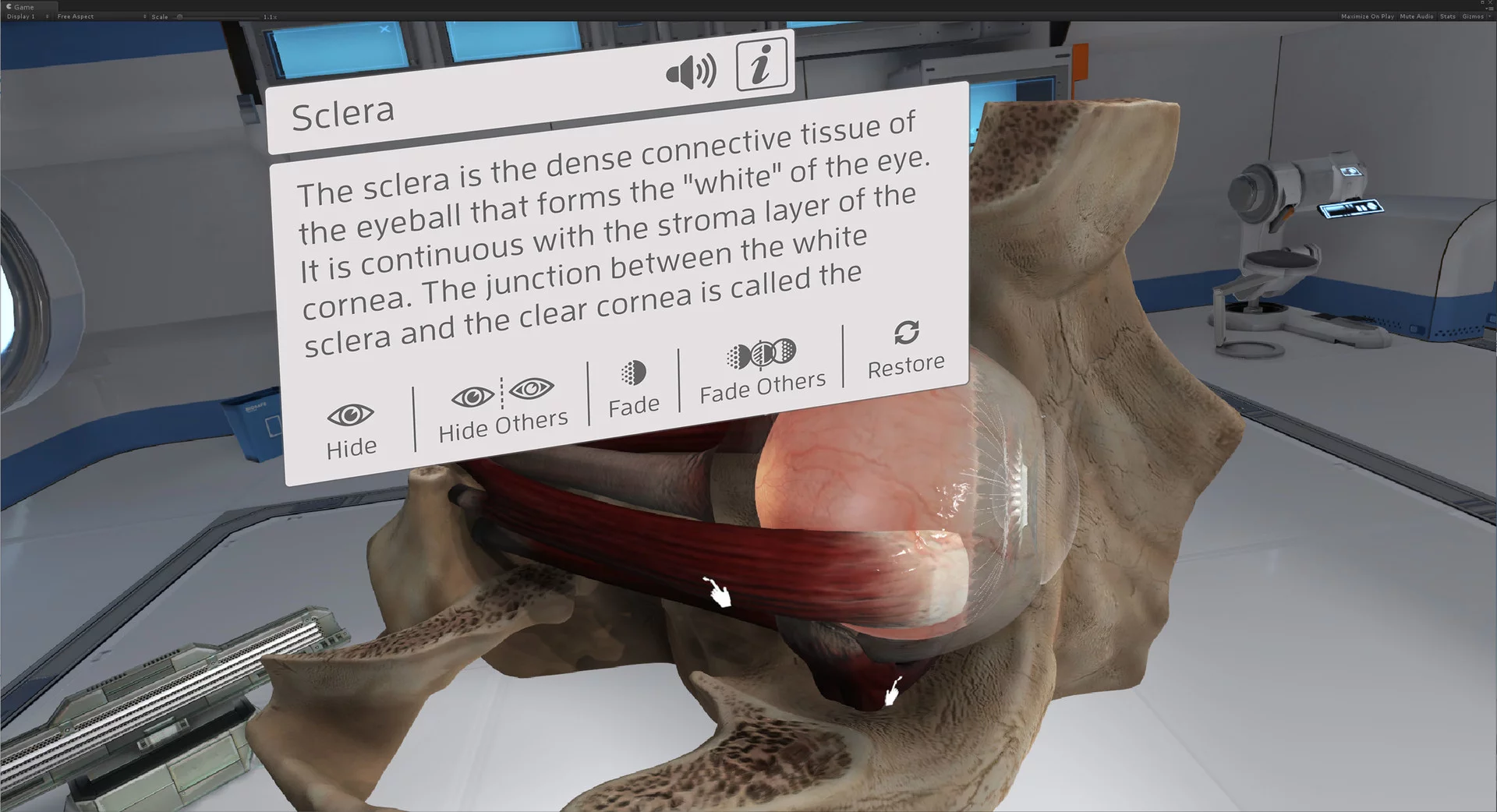 Изображение игры: The Physiology of the Eye