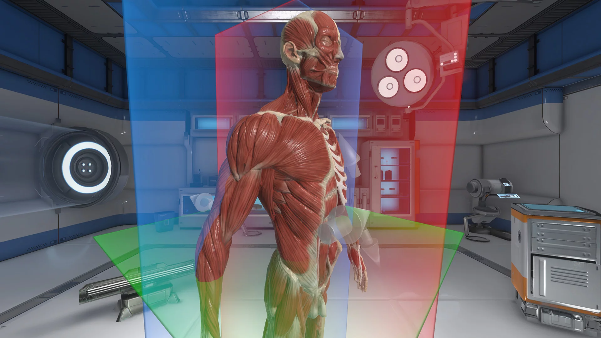 Изображение игры: The Physiology of the Eye