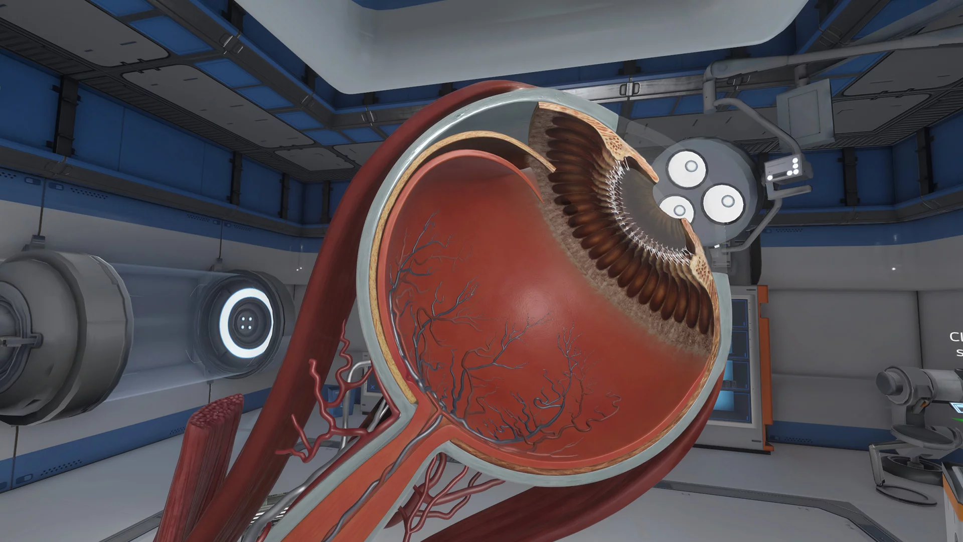 Изображение игры: The Physiology of the Eye