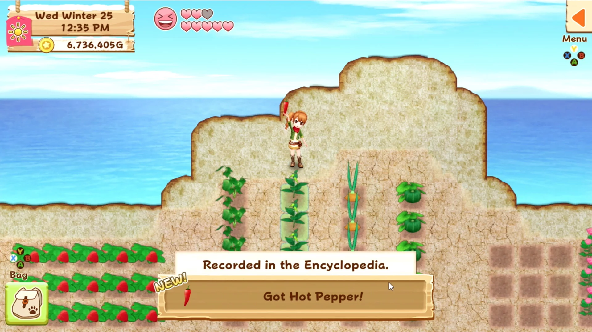 Изображение игры: Harvest Moon: Light of Hope Special Edition