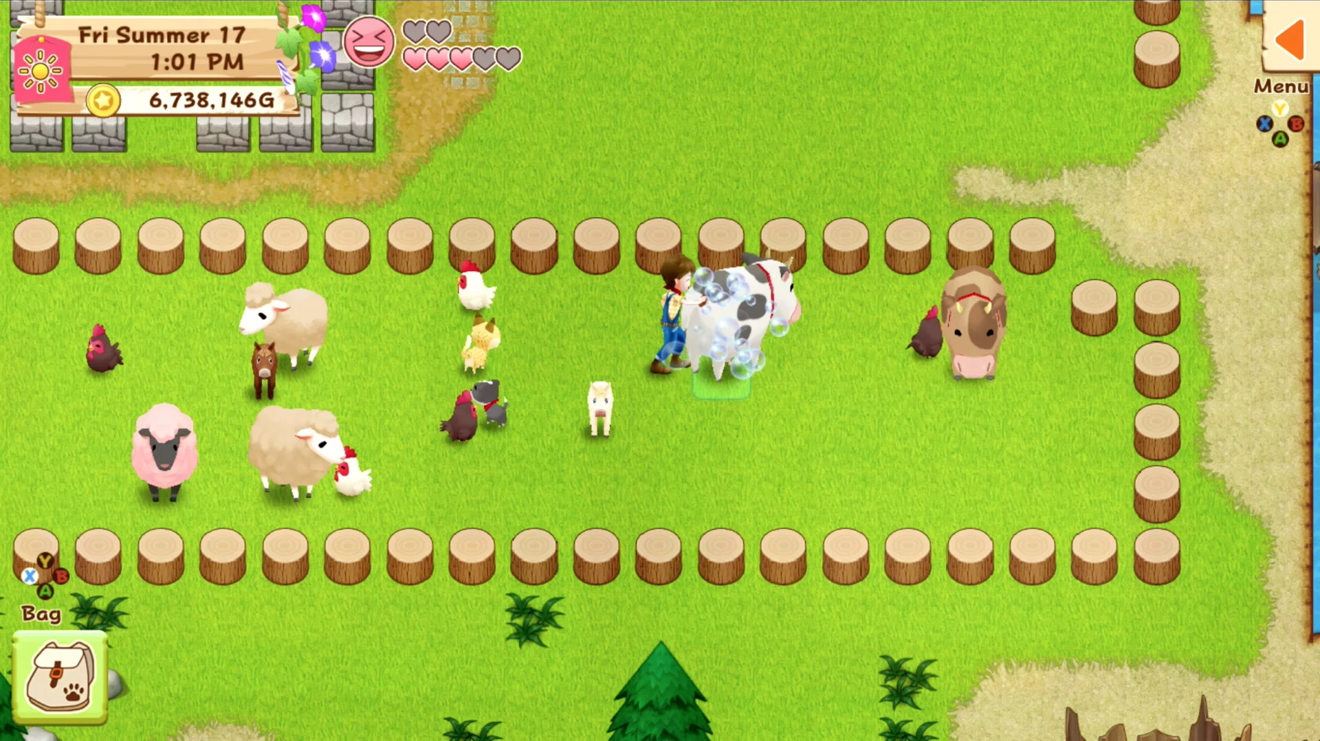 Изображение игры: Harvest Moon: Light of Hope Special Edition