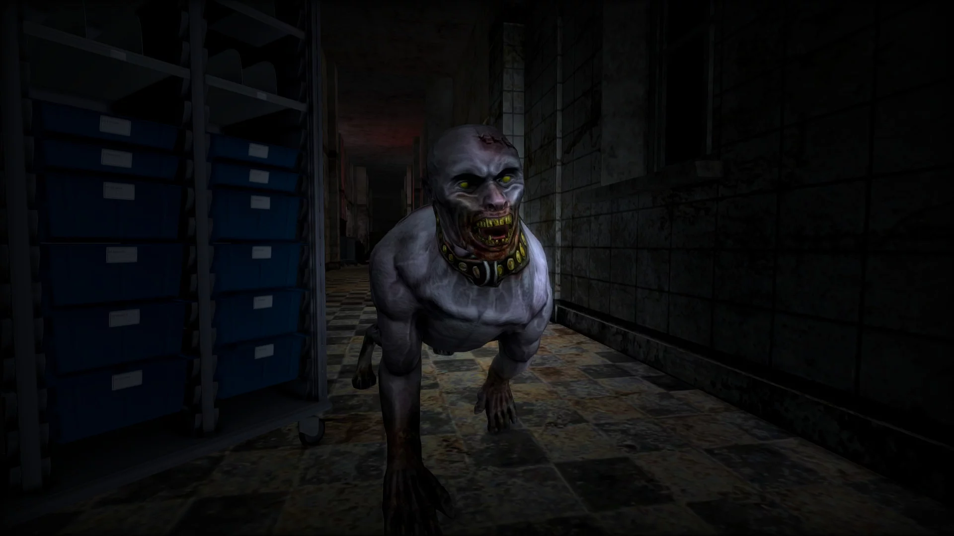 Изображение игры: The Last Patient
