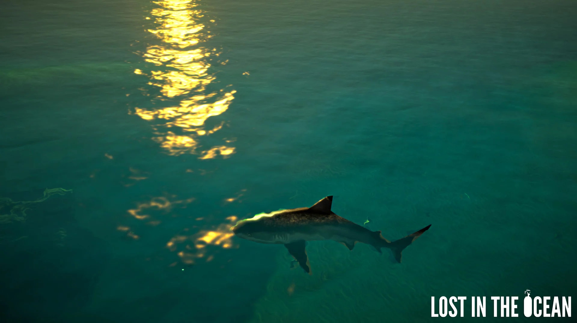 Изображение игры: Lost in the Ocean VR