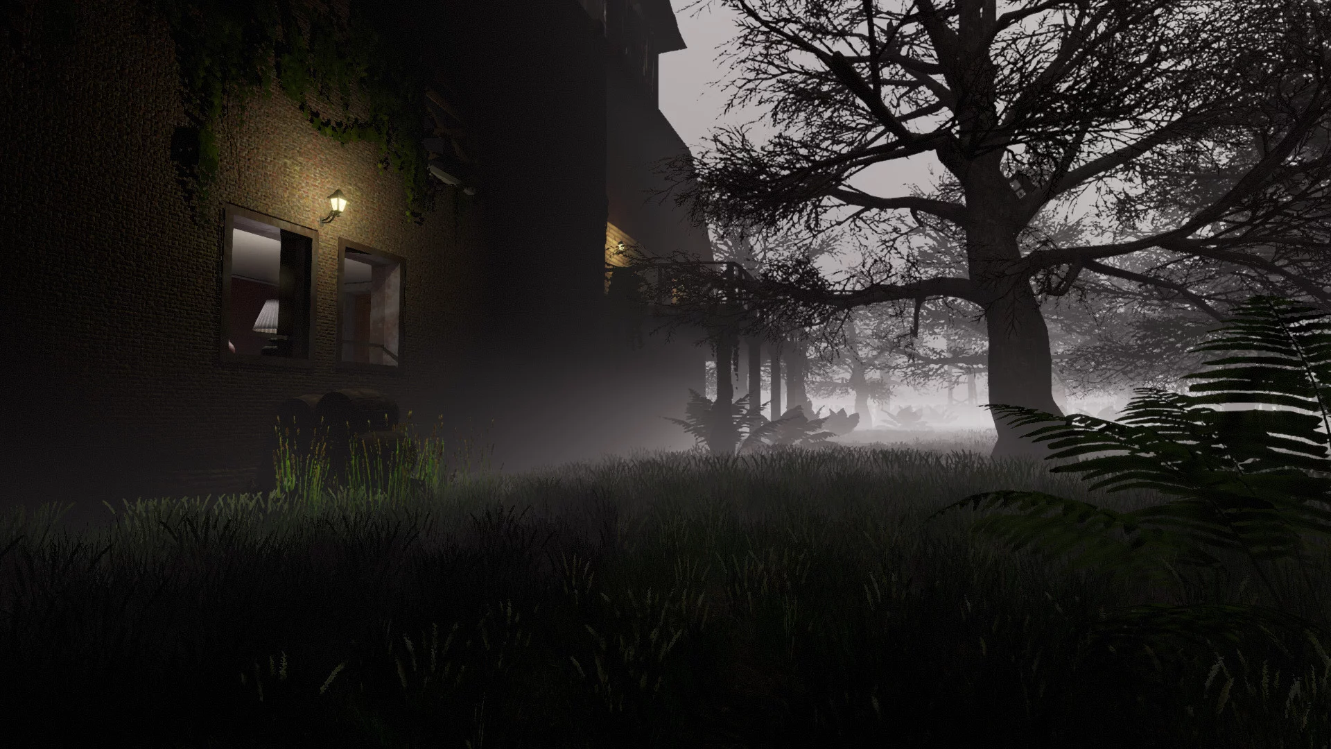 Изображение игры: Hide and Seek