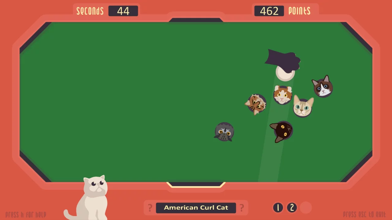 Изображение игры: The Cat Games