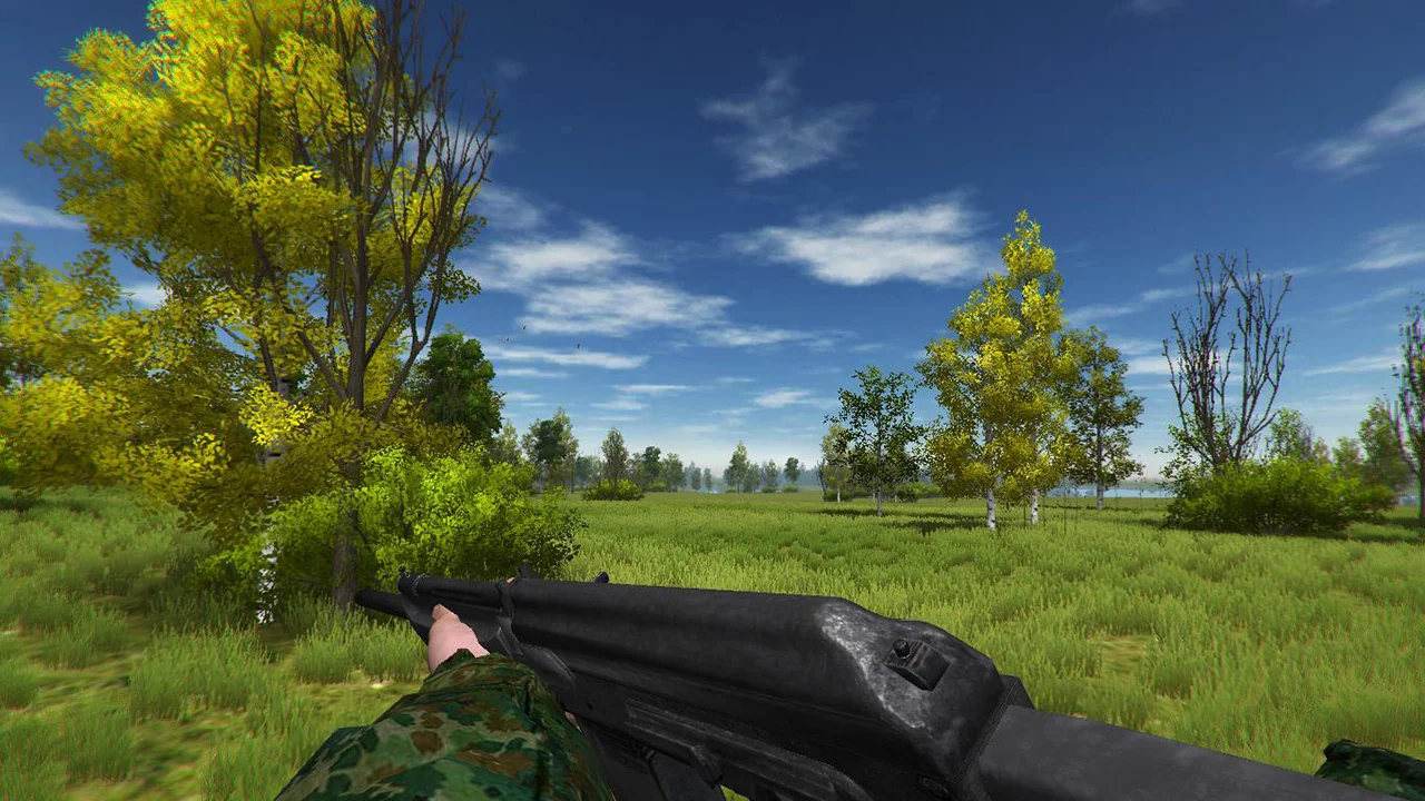 Изображение игры: Duck Hunting