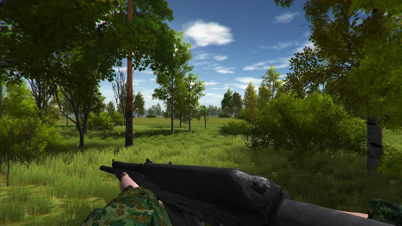 Изображение игры: Duck Hunting
