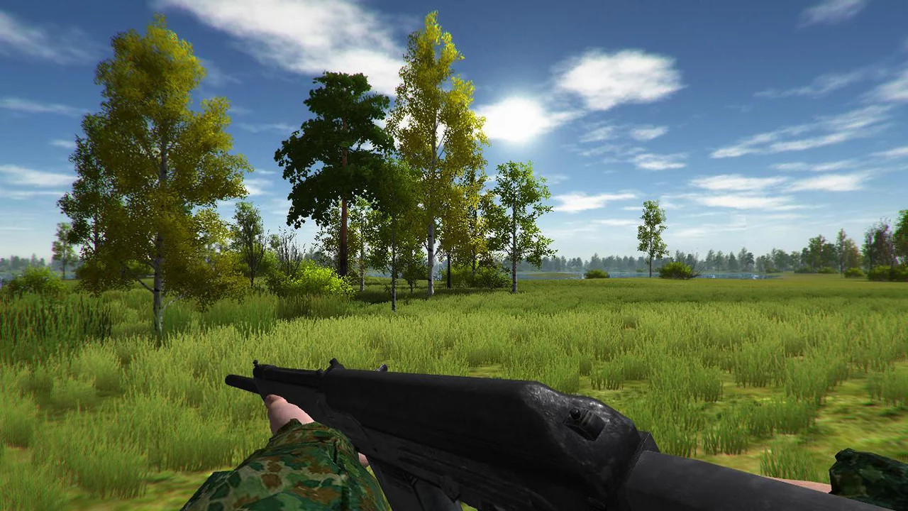 Изображение игры: Duck Hunting