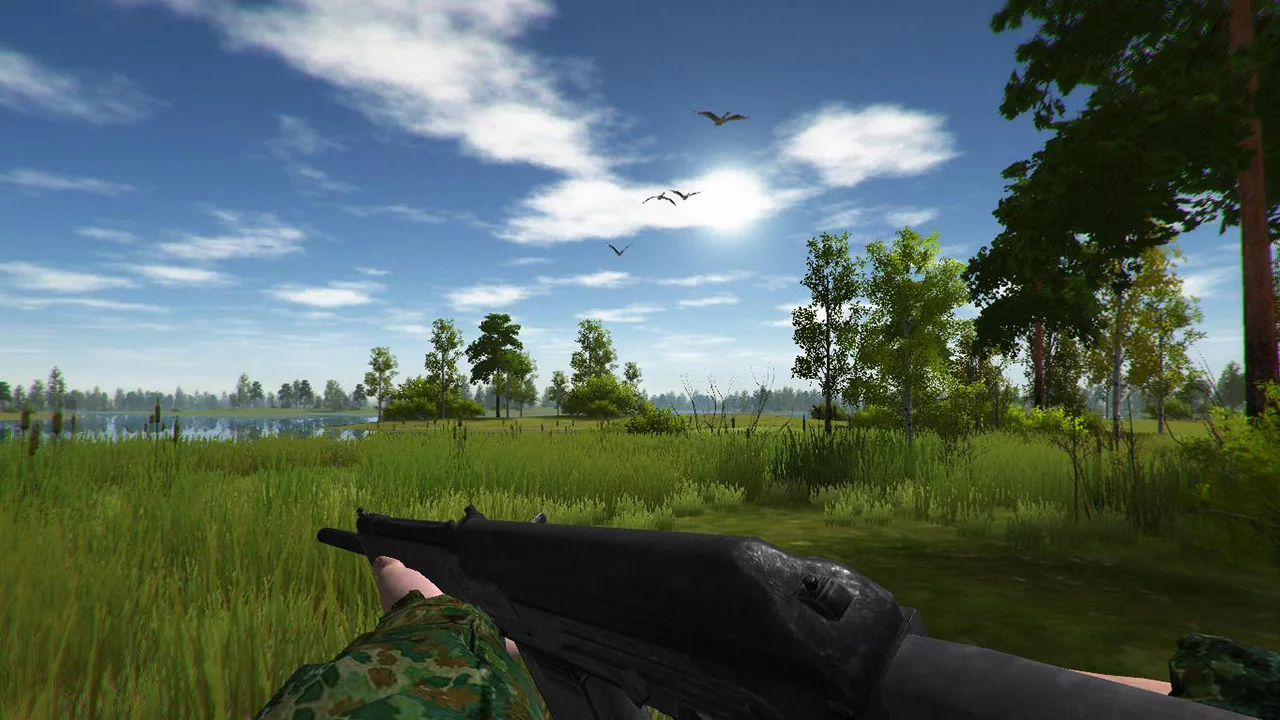 Изображение игры: Duck Hunting