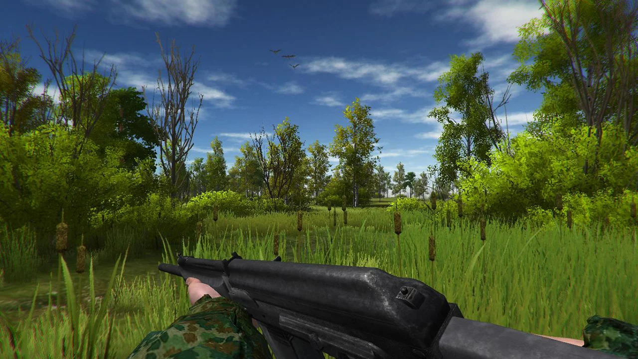 Изображение игры: Duck Hunting