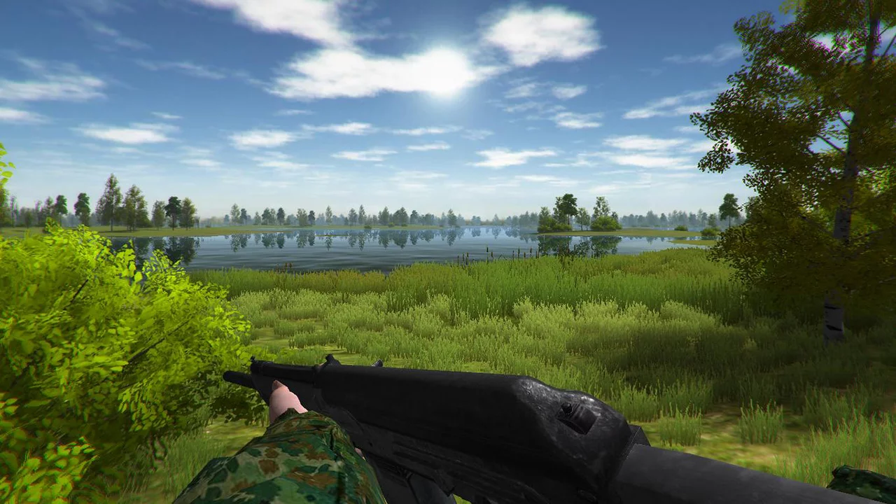 Изображение игры: Duck Hunting