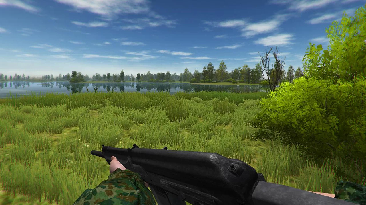Изображение игры: Duck Hunting