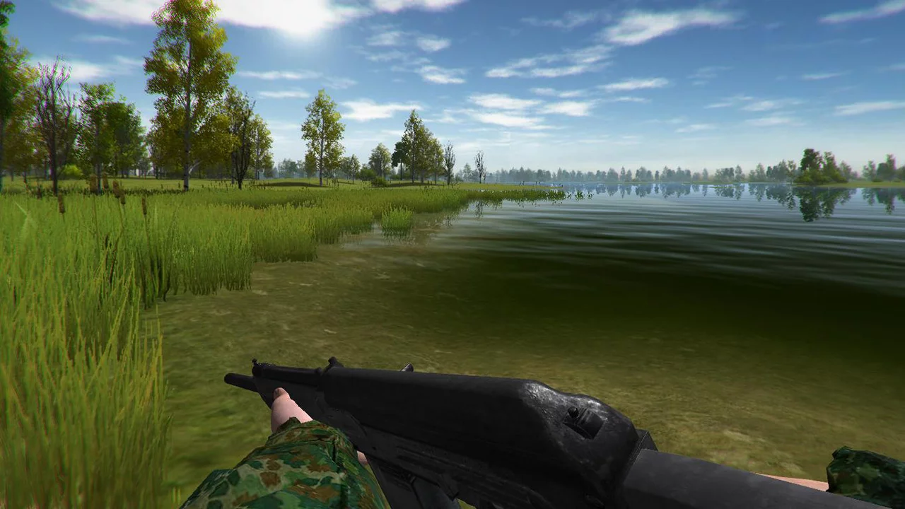 Изображение игры: Duck Hunting