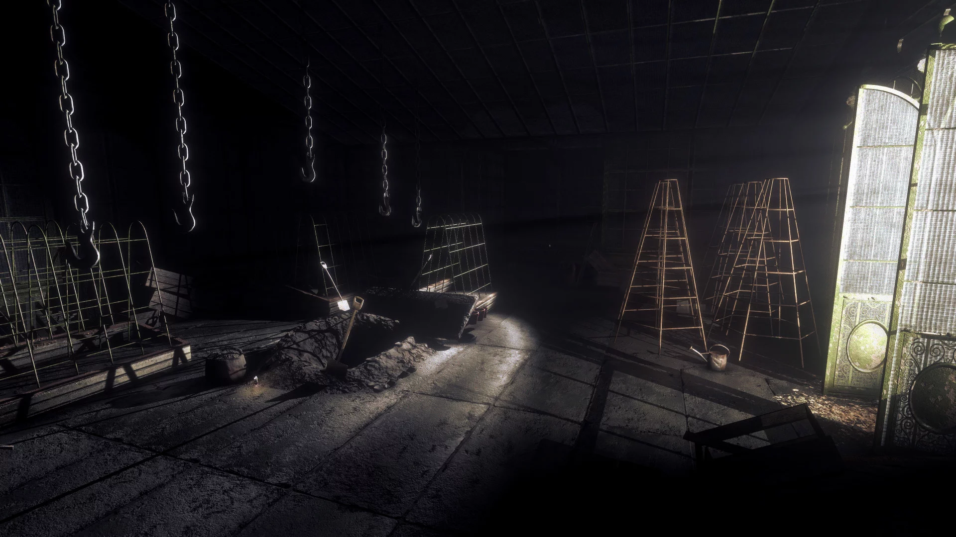 Изображение игры: Rise of Insanity