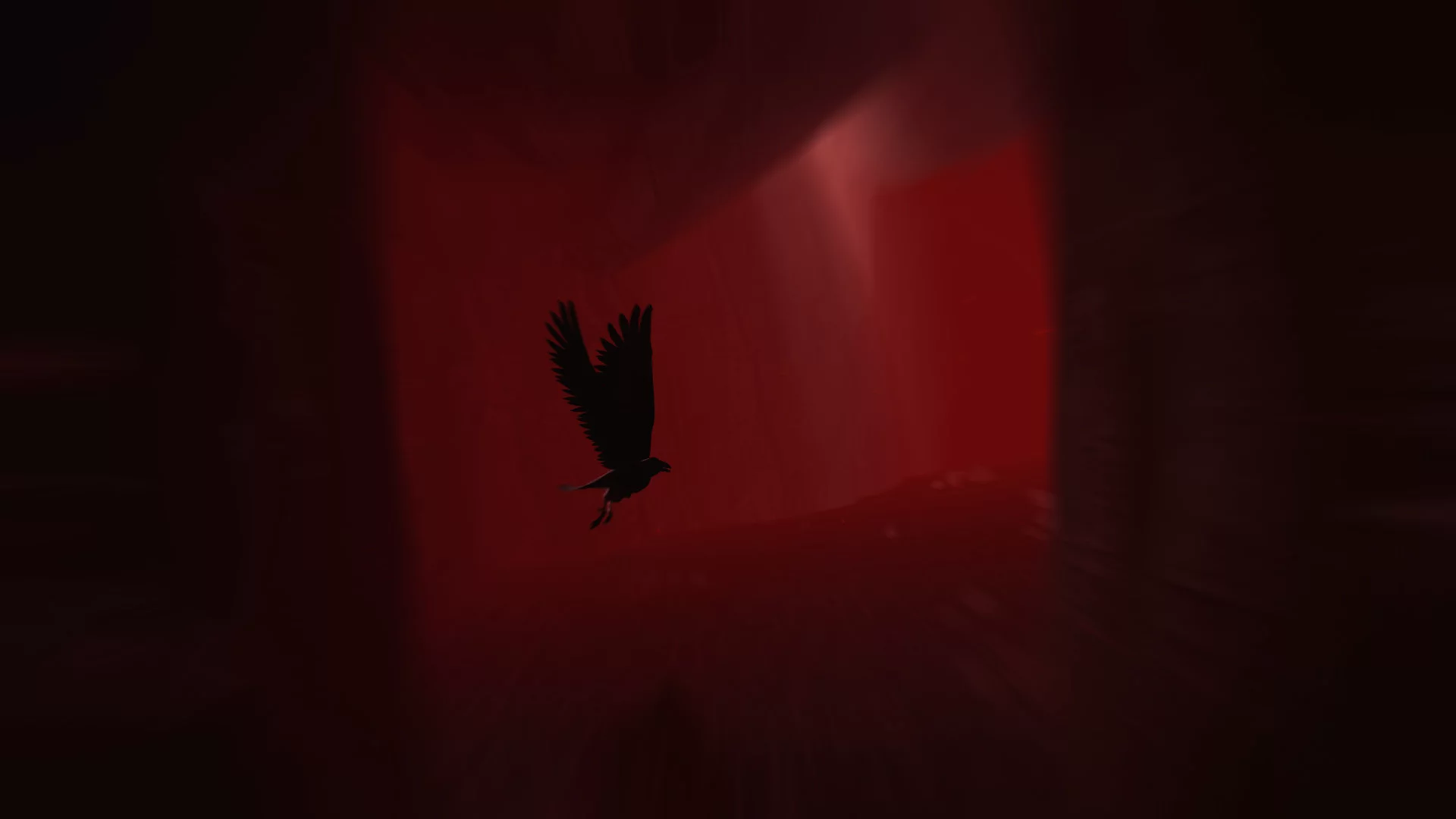 Изображение игры: Rise of Insanity