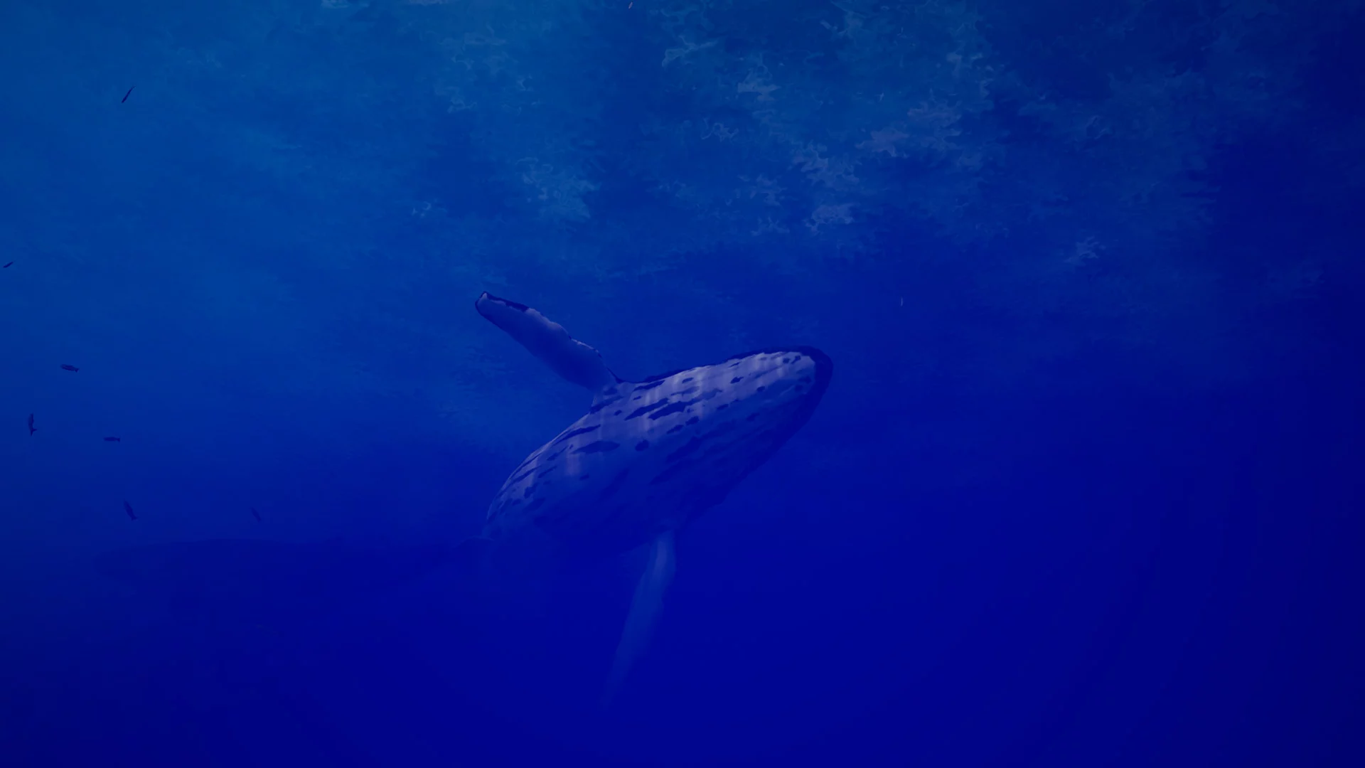 Изображение игры: Call of the Ocean