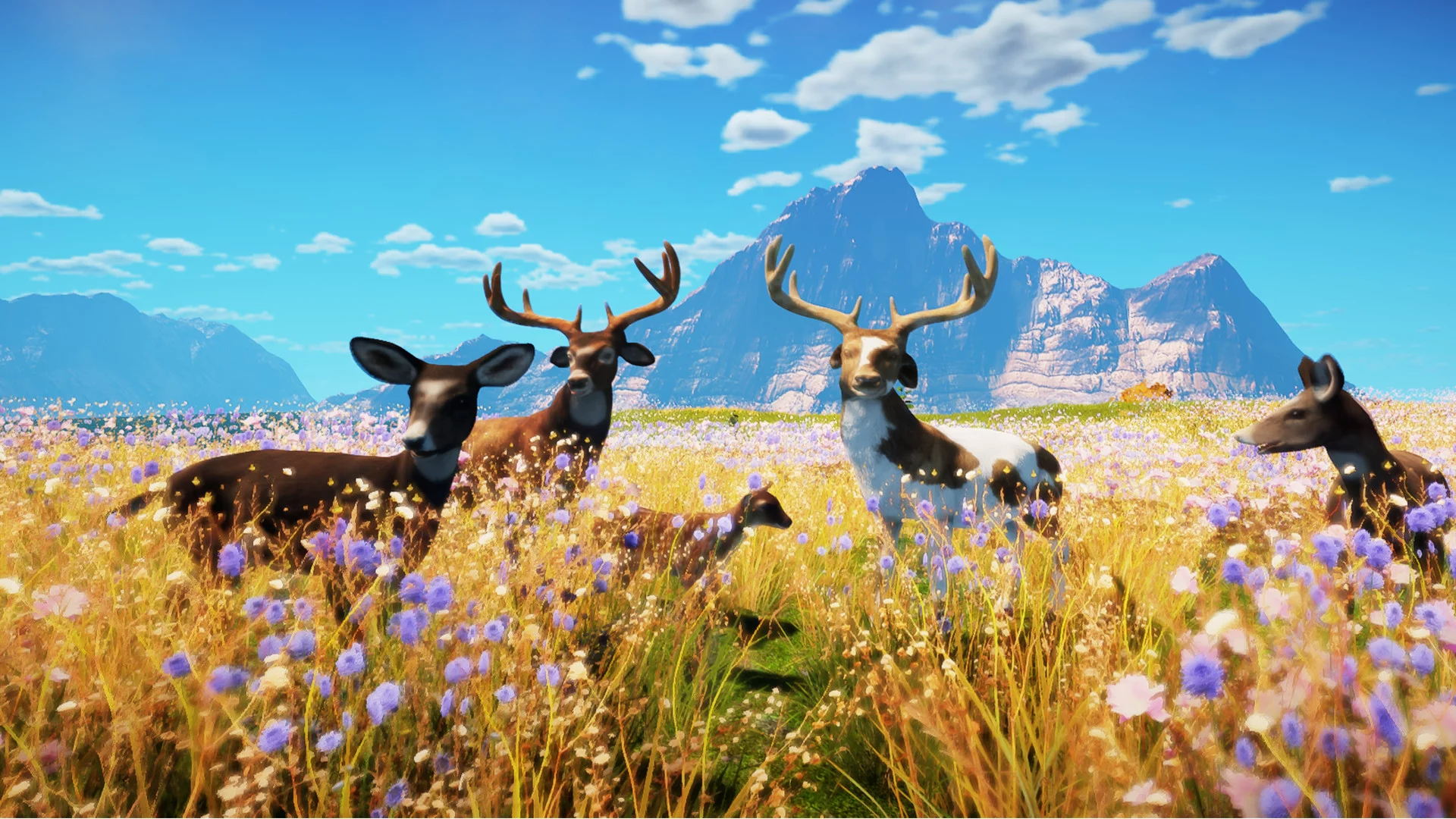 Изображение игры: Animallica