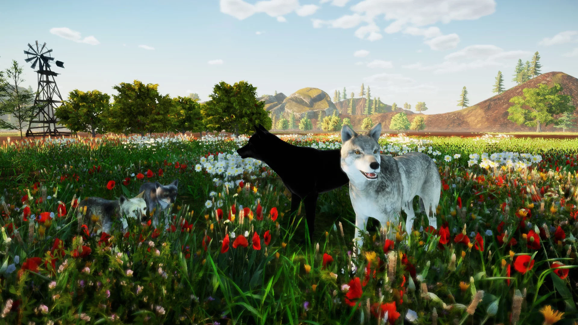 Изображение игры: Animallica