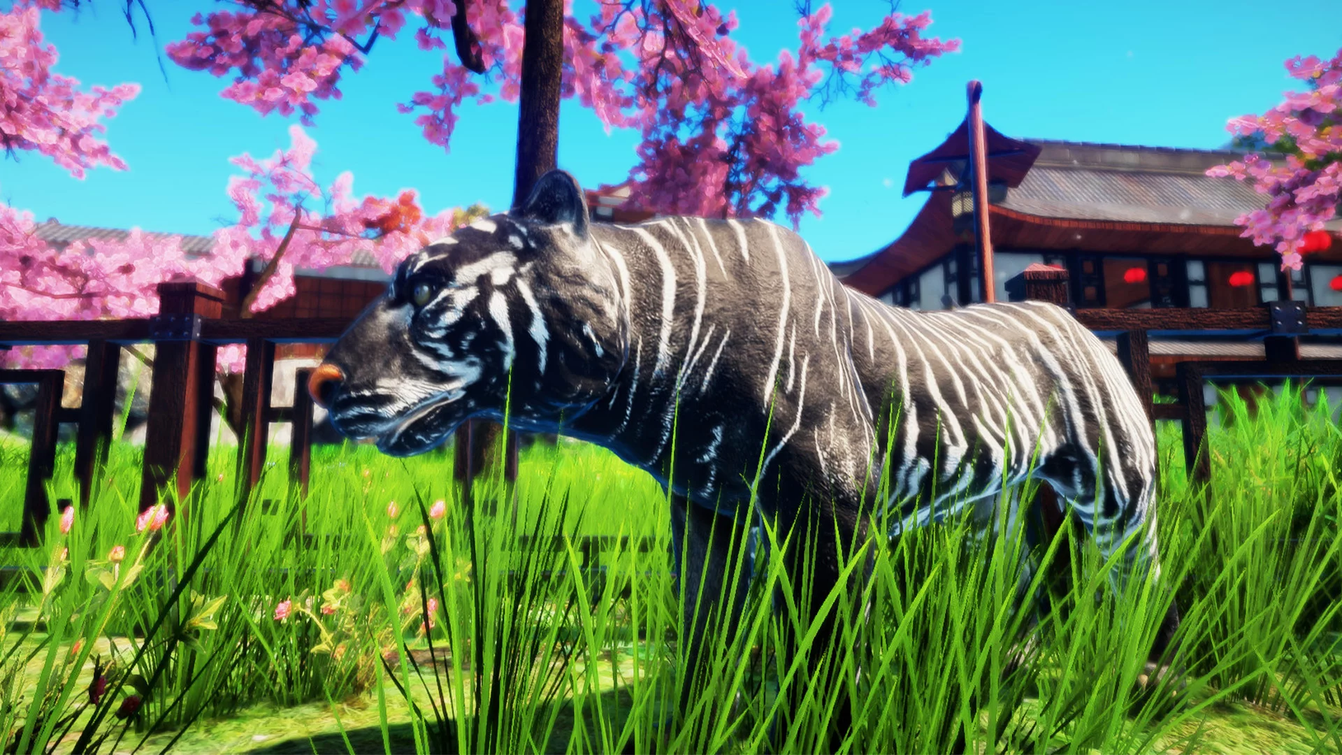 Изображение игры: Animallica