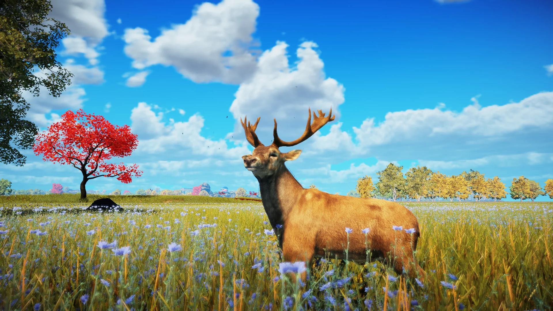 Изображение игры: Animallica
