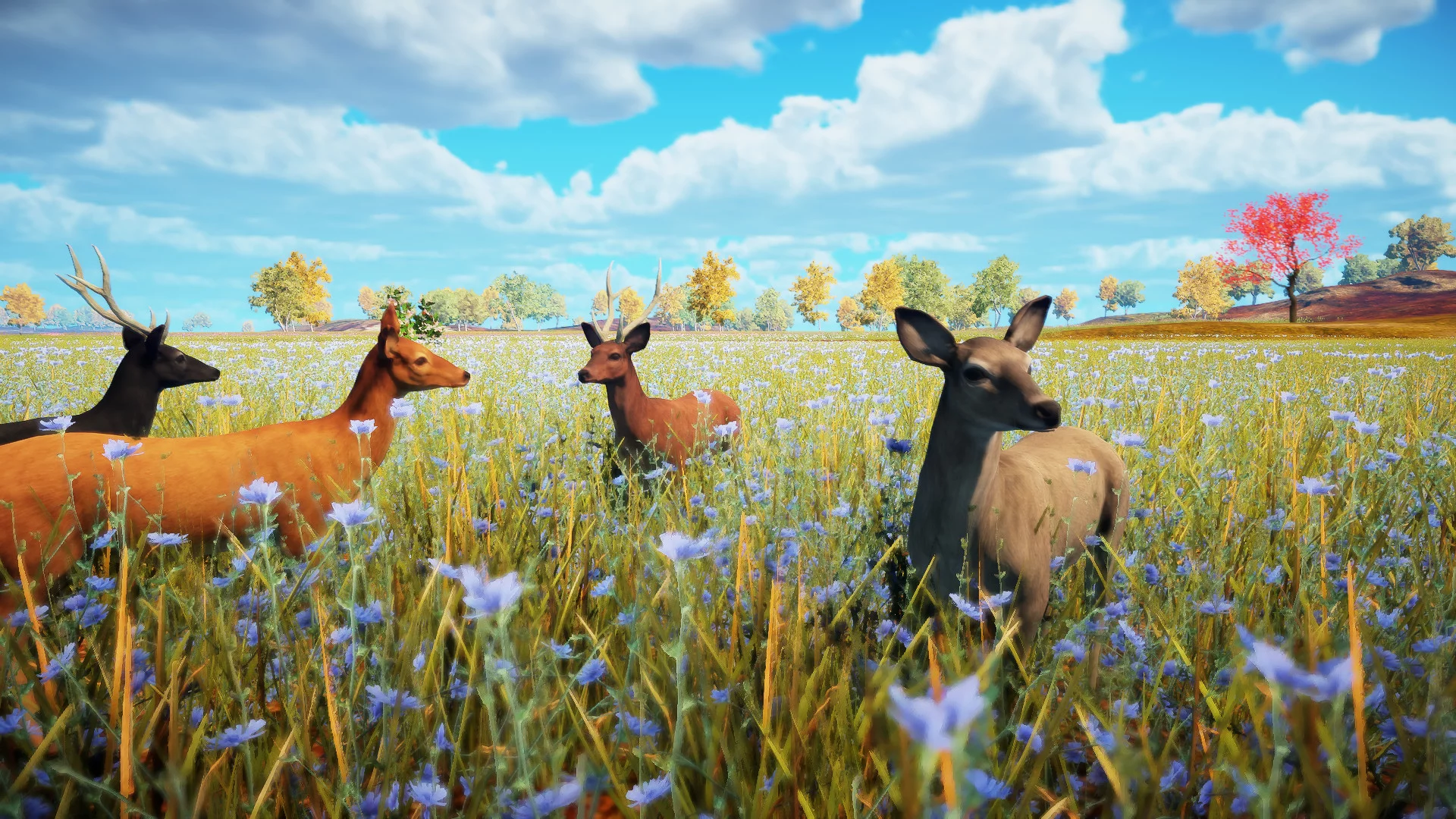 Изображение игры: Animallica