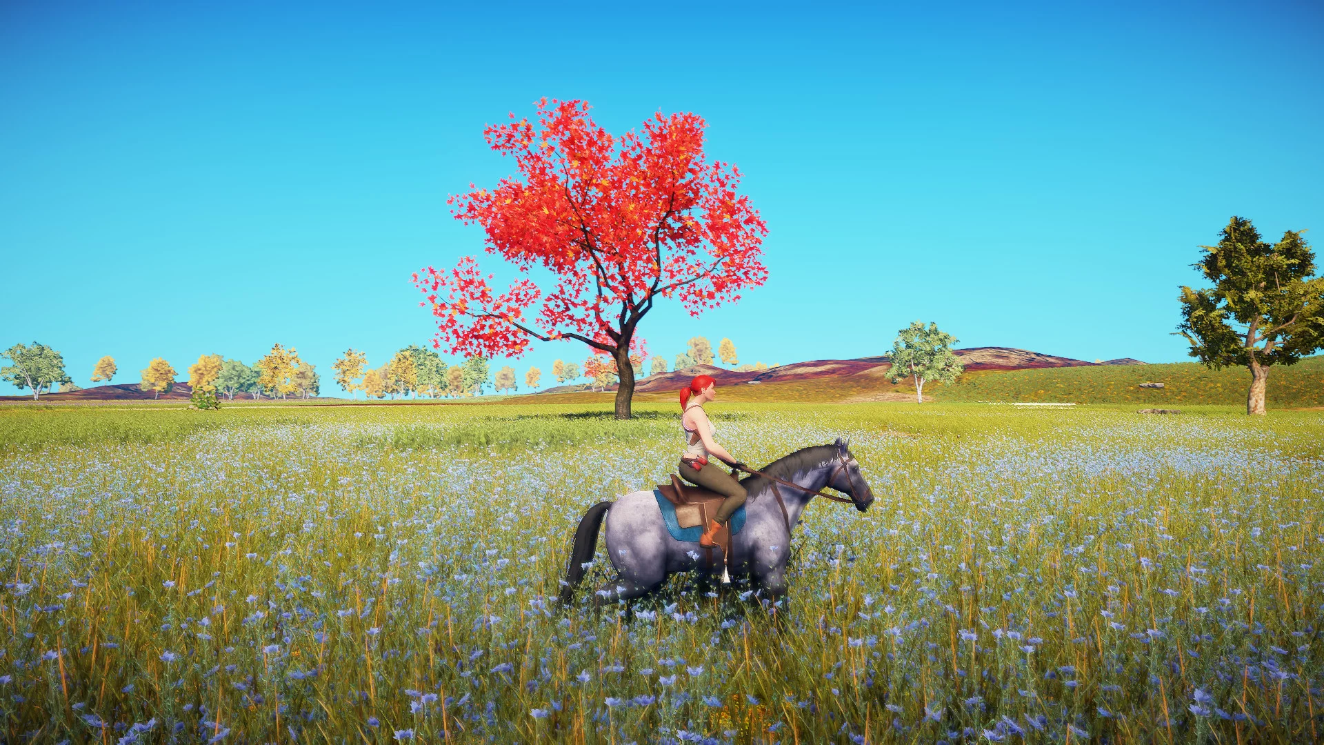 Изображение игры: Animallica