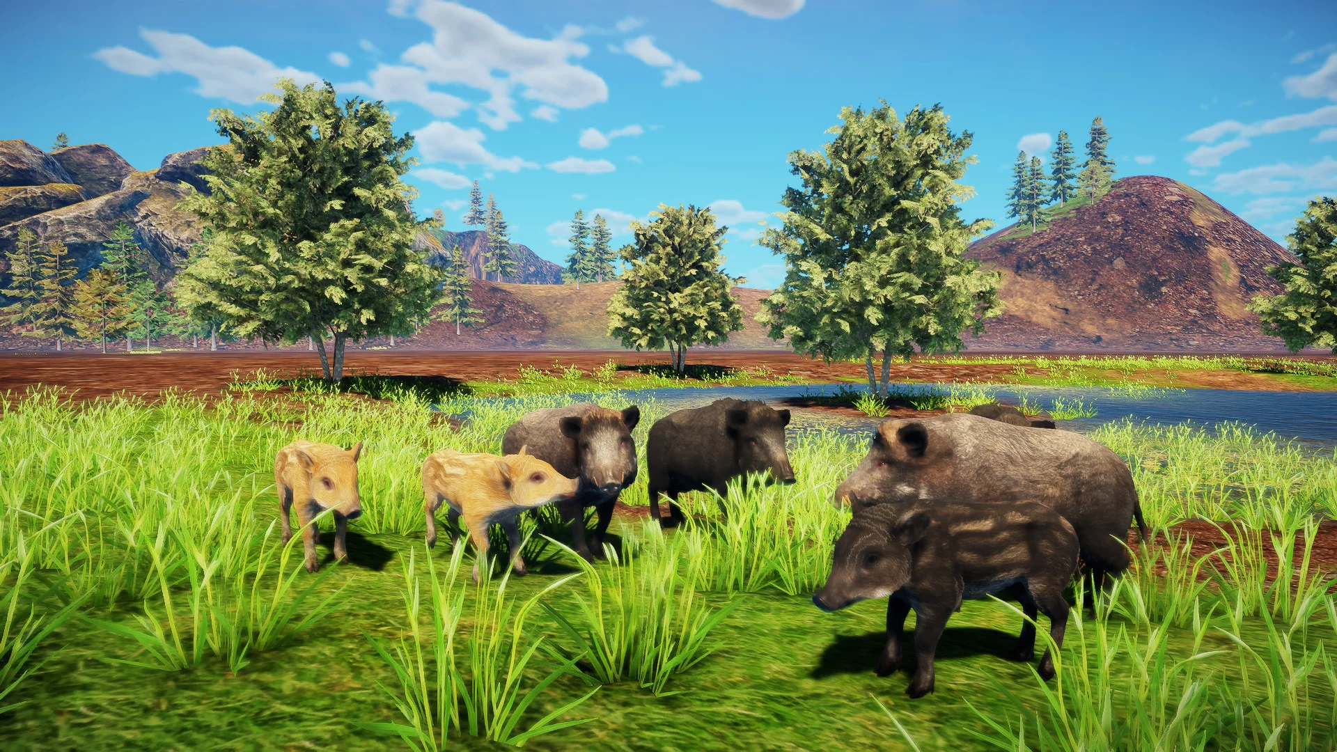 Изображение игры: Animallica