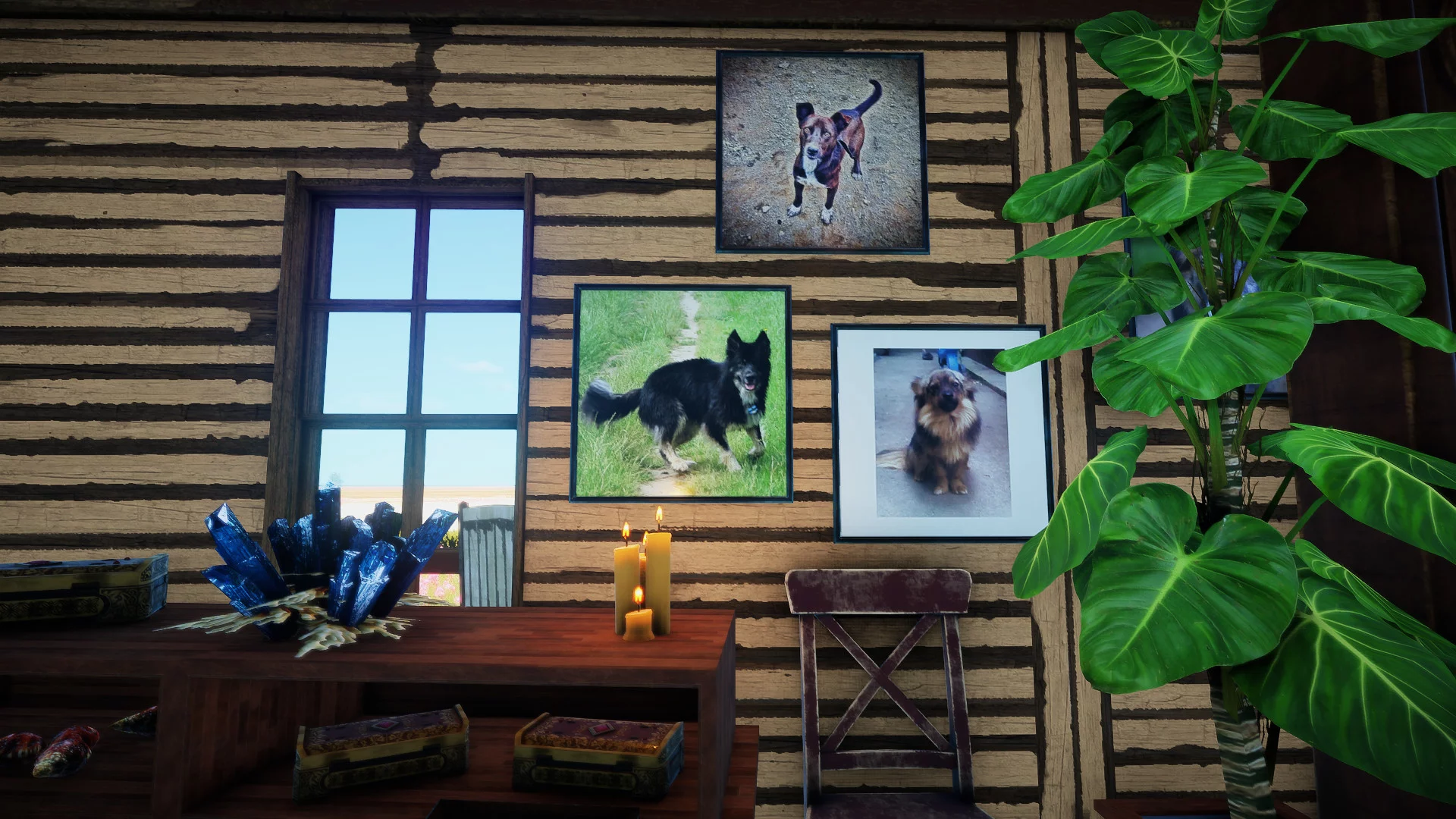 Изображение игры: Animallica