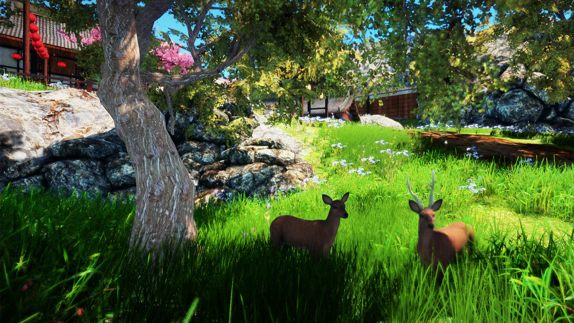 Изображение игры: Animallica