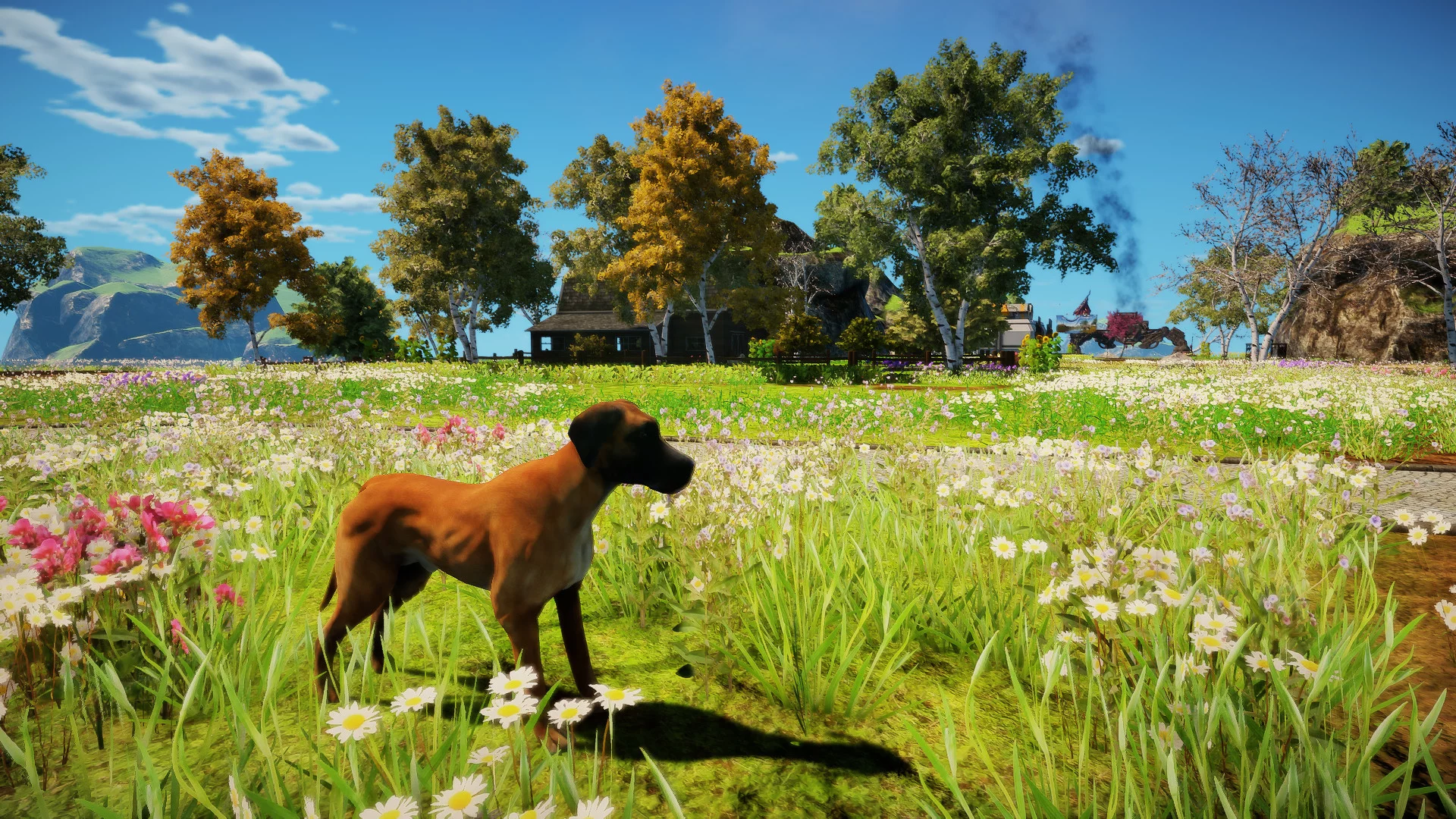 Изображение игры: Animallica