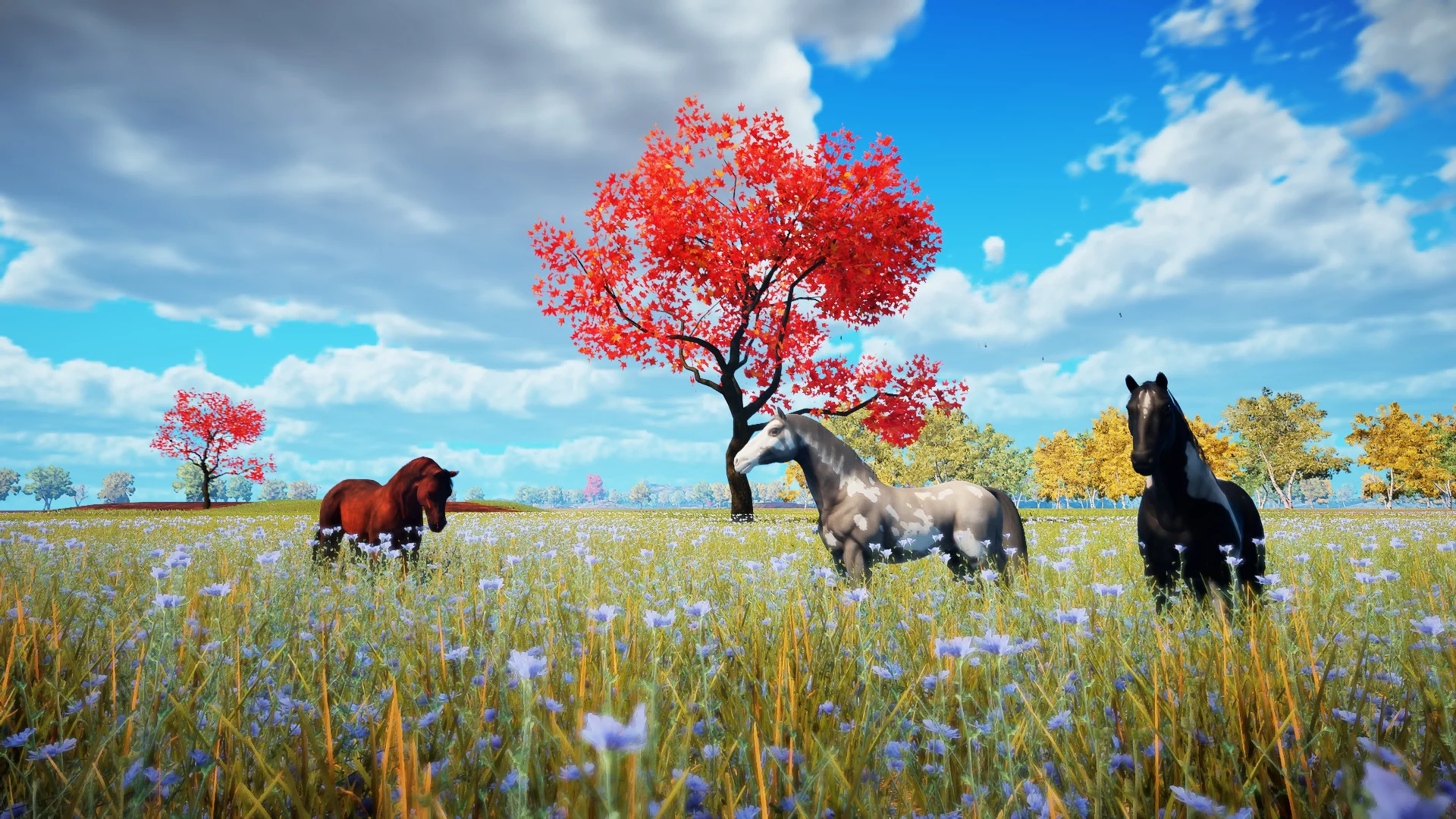 Изображение игры: Animallica