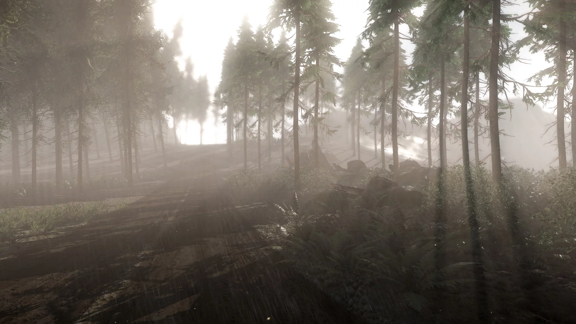 Изображение игры: Reflecting Fate