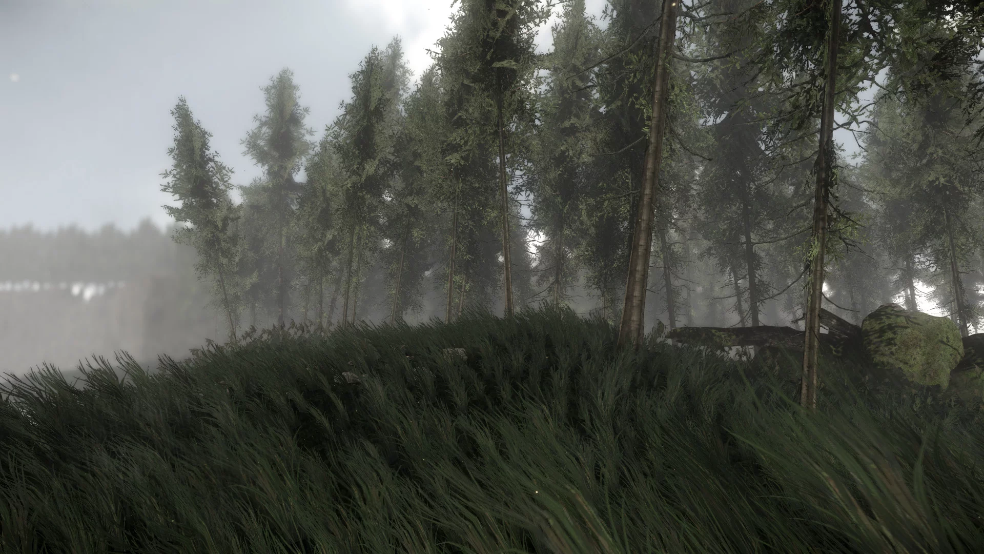Изображение игры: Reflecting Fate