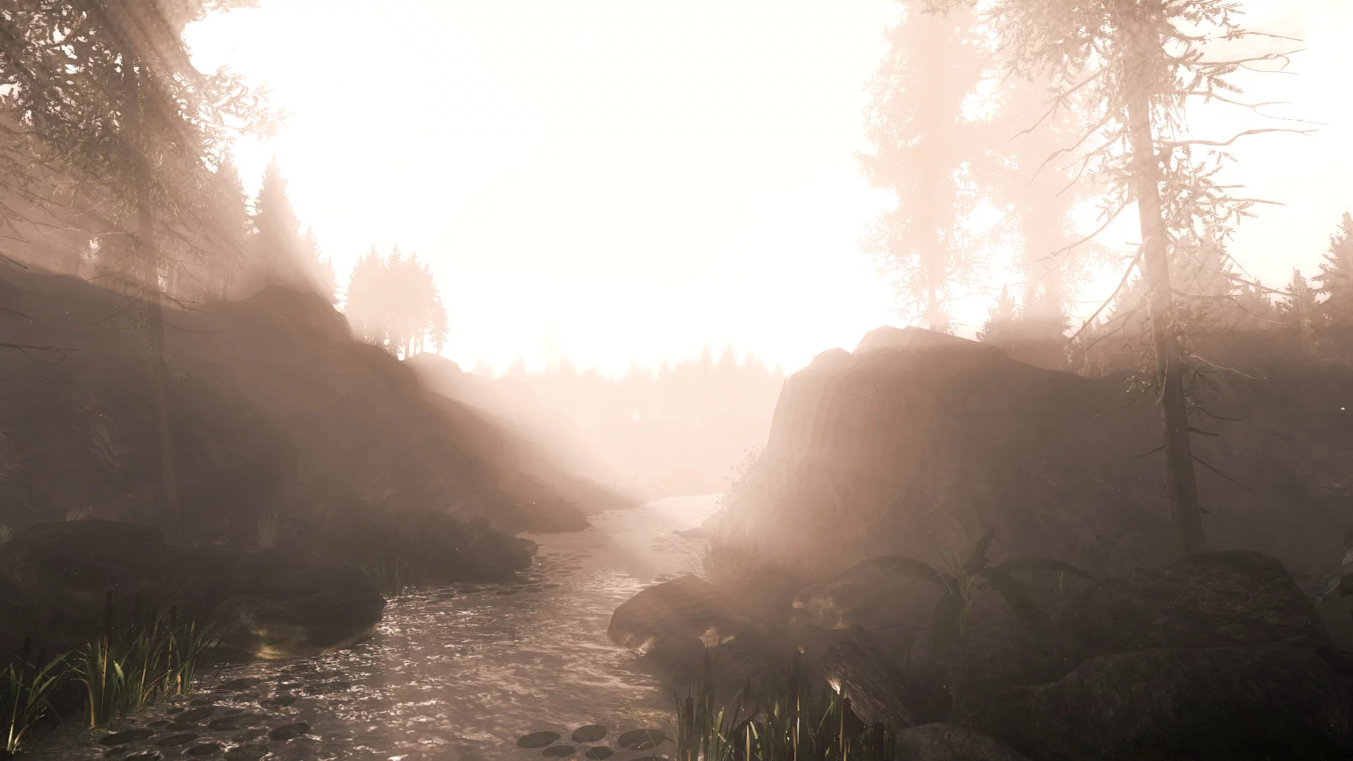 Изображение игры: Reflecting Fate