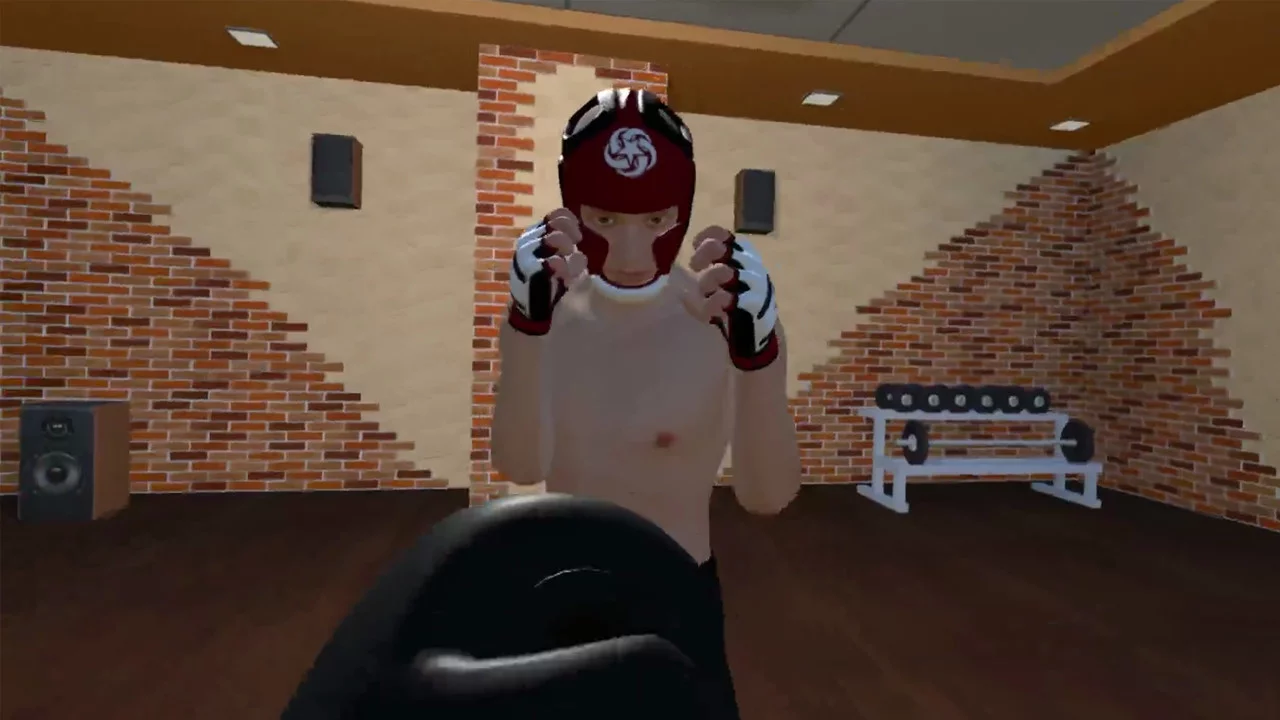 Изображение игры: Fight Sparring VR