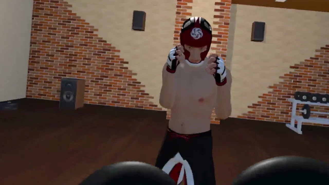Изображение игры: Fight Sparring VR