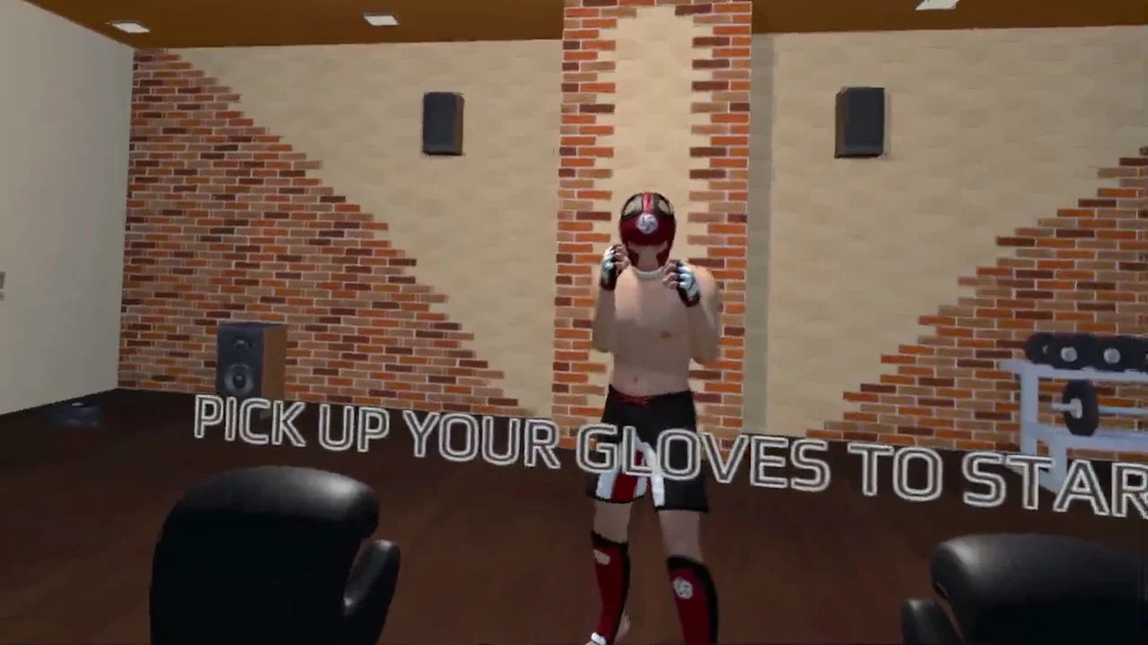 Изображение игры: Fight Sparring VR