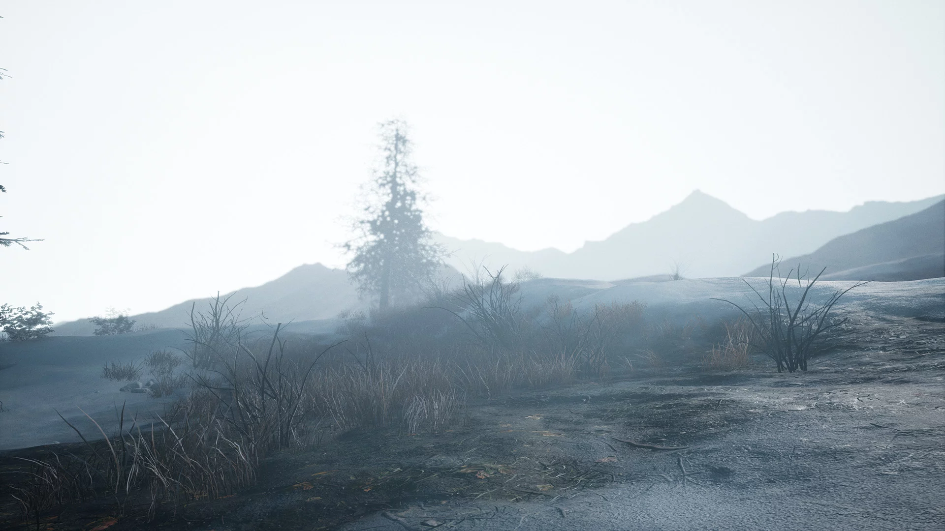 Изображение игры: Forgotten Land
