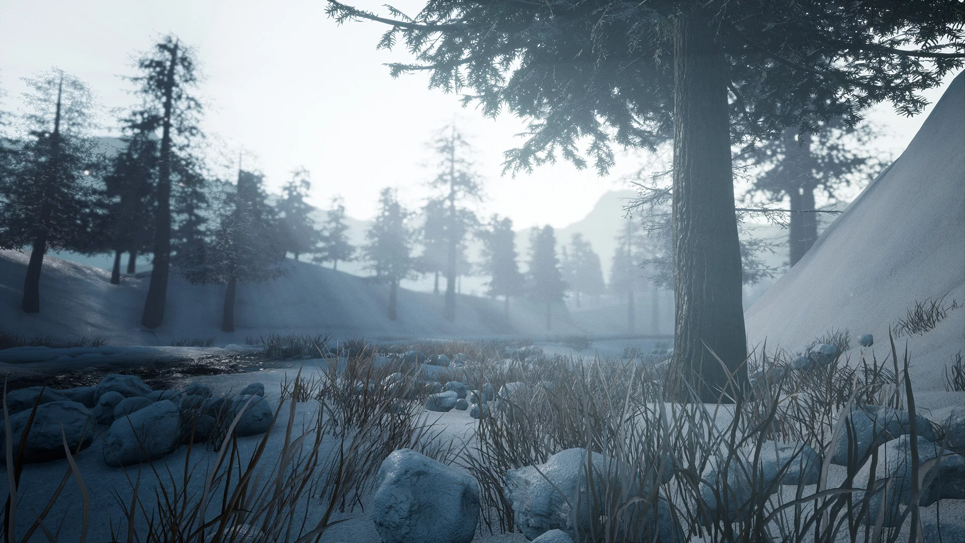 Изображение игры: Forgotten Land