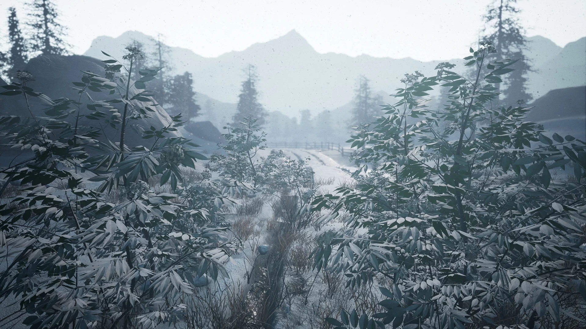 Изображение игры: Forgotten Land