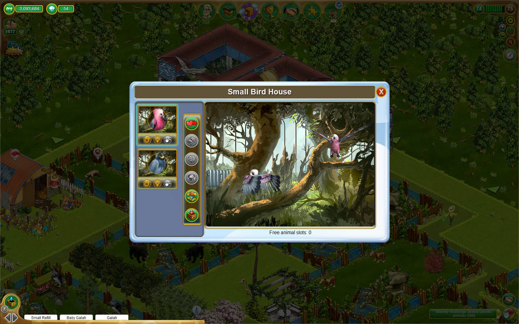 Изображение игры: My Free Zoo